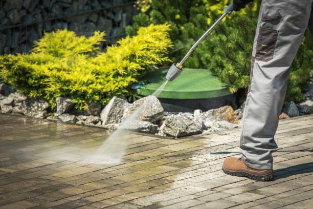 Best Patio and Deck Pressure Washing  in Wyndmoor, PA